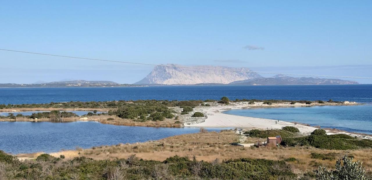 Li Muntigeddi Ξενοδοχείο San Teodoro  Εξωτερικό φωτογραφία